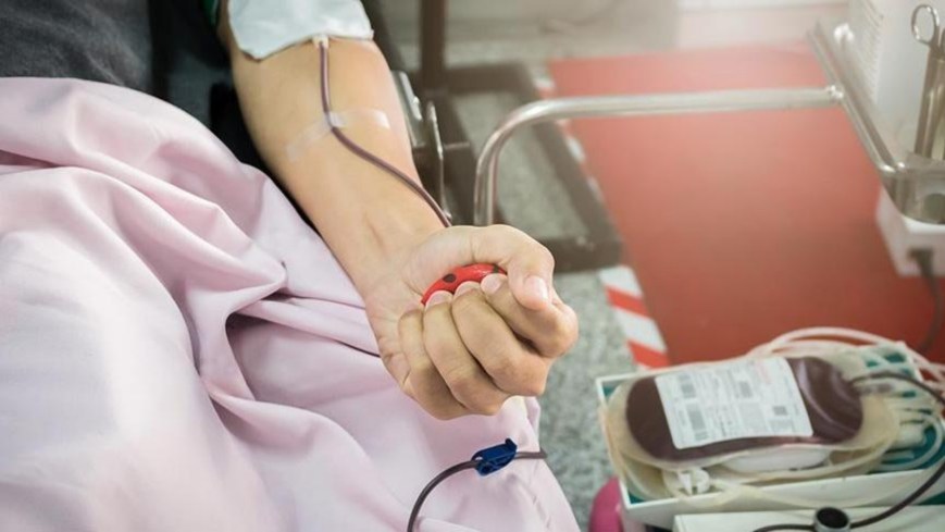 Kan Bağışı Yapmaya Uygun Olduğumu Hangi Siteden Kontrol Edebilirim?